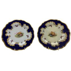 Pair of Flight, Barr & Barr cabinet plates painted with shells and butterflies within a dark blue and gilt border, impressed and printed mark D22cm  (one restored)