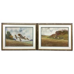 Robert Aitchet (British 20th century): Partridges in Flight, pair watercolours signed 36cm x 51cm (2)