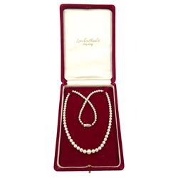 Mikimoto graduated single strand cultured pearl necklace, with a pearl set clasp, stamped 10K