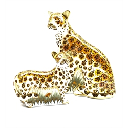 Royal Crown Derby 'Leopardess' paperweight and another 'Leopard Cub', both boxed and with gold stoppers