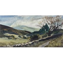 Joan Sutherland (British 20th century): 'Pathway in Miterdale' Lake District, oil on canvas board signed, titled verso 12cm x 24cm