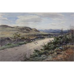 Edward Arden Tucker (British 1847-1910): Moorland Path with Sheep, watercolour signed 30cm x 46cm