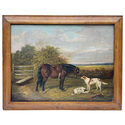 Albert Clark (British 1843-1928): Horse and Dogs in a Paddock, oil on canvas signed 30cm x 39cm