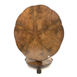 Early Victorian mahogany tilt top breakfast table, shaped chamfered top with segmented starburst figured mahogany veneer, vase shaped faceted column on shaped platform matching the top, three carved paw feet, D133cm, H75cm