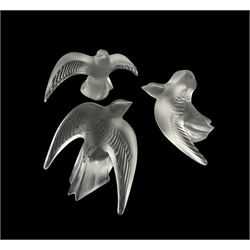 Three Lalique frosted glass Swallows, in various poses, each engraved Lalique France to base, H8.5cm max (3)